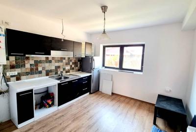 Vila Cocheta 5 Camere Peris - 9