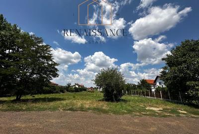 Dumbravita Teren Intravilan 1466mp Front 29m | Langa Padure - 17