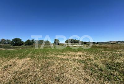 Comision 0% Teren intravilan 2000 mp cu utilitati zona Oltului Fagaras - 5