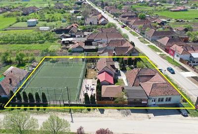 PROPRIETATE CU AFACERE FUNCTIONALA DE VANZARE - PETREU, LANGA MARGHITA - 2
