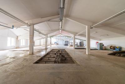De vanzare – Hala industriala in Luna de Sus, Cluj - 29