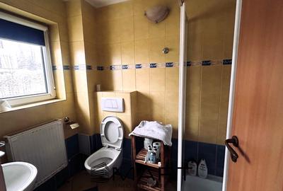 Casa de vacanta cu teren 2000mp Valea Avrigului - 14
