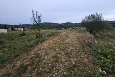 Teren localitatea Balata - 3