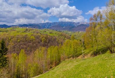 Teren de poveste, intru-un sat de poveste Pestera/Moeciu/Brasov - 1