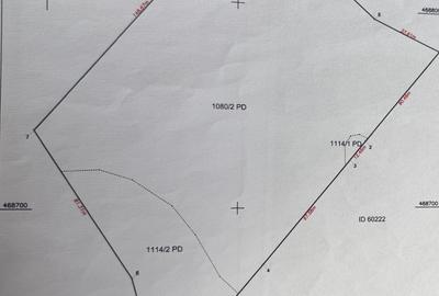 OPORTUNITATE - Teren extravilan - padure, 20.720 mp in Cincis - 2