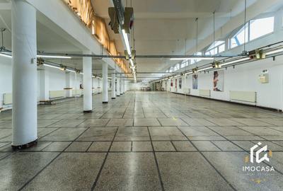 De vânzare Hală 1450mp producti industrial 15000mp teren Călan Jud. Hd - 6