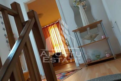 Casa insiruita,3 dormitoare,2 bai,Dumbravita - 17