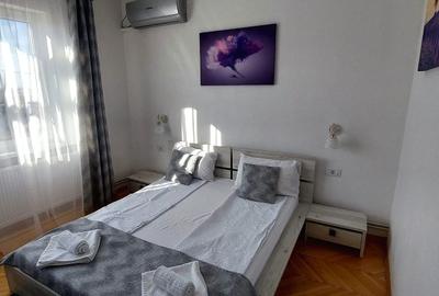 APARTAMENT PREMIUM LA CASA 4 CAMERE SI CURTE | SUB ARINI - 5