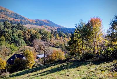Teren intravilan cu potențial. Priveliste, liniște și acces rapid la oraș - 4