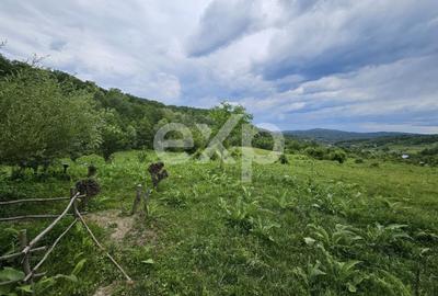 Teren 11,935mp Margineni / Strada Dubas - 2