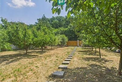 Teren Construcții intravilan de 1106 mp, în Dumbrăvița