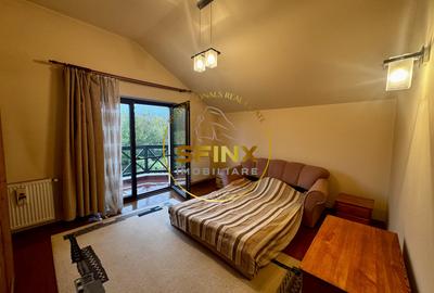 Casa 6 Camere, gradina spectaculoasa, Erou Iancu Nicolae - 4