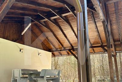 Vila de poveste din Valea Avrigului de vanzare - 31