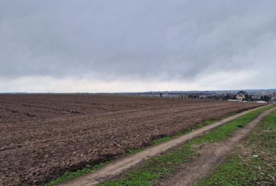 Teren 10,000mp Bacau / Strada Alexandru Safran - 11