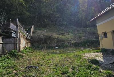 Teren Intravilan Dobrogeanu Gherea - 6