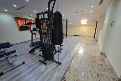 Timpuri Noi, 10 minute metrou, pe Cuza Voda, vila exclusivista P+1+M, lux, - 42