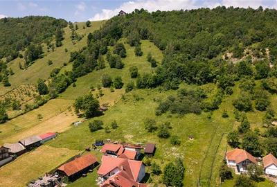 FILM!View superb catre munti,teren pretabil constructie Hotel,4.400 mp, Moieciu - 46