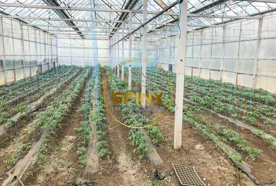 De vanzare ferma Calarasi in stare de conservare - sere - livada - 5