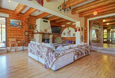 CASA INCONJURATA DE NATURA | DIN BUSTENI | 8 CAMERE | TIMISUL DE JOS - 14
