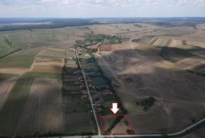 Teren Construcții intravilan de 4215 mp, în Teș