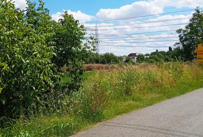 Teren Construcții intravilan de 8300 mp, în Nicolae Grigorescu