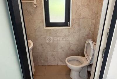 Centru - bd. Stefan cel Mare, proprietate P+E, ideala pentru locuit / birouri - 9