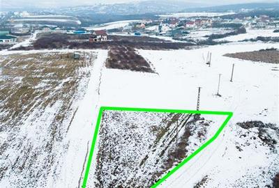 RECO Teren intravilan in Paleu la 2km de Oradea - 3
