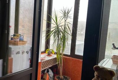 Apartament 2 camere mobilat si utilat Doctor Babes Restaurant Linz - 12