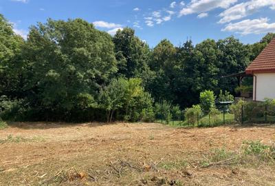 TEREN INTRAVILAN 1060 MP, BUCIUM- BARNOVA, DESCHIDERE LA DRUM 23 M - 1