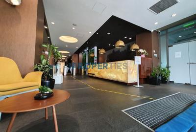 Comision 0! Inchiriere spatii birouri in Rosetti Tower - suprafete flexibile - 8