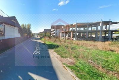 Constructie structura beton armat 810 MPC Curtea de Arges - 4