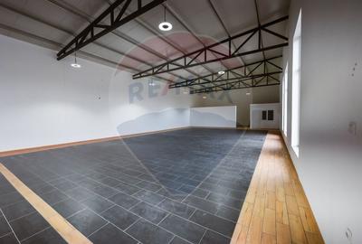 Spațiu Comercial de închiriat,  450 mp utili - Aleșd - 6