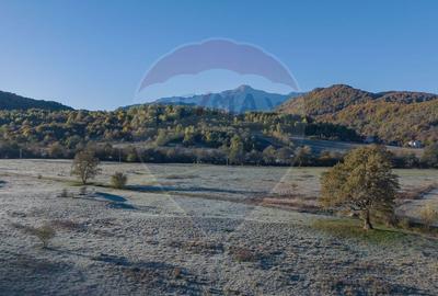 Teren Rasnov - Cheile Rasnoavei, 654mp, posibil 1329mp - 7