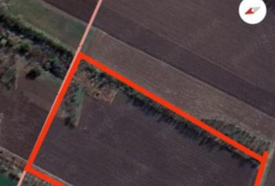 Teren intravilan 2999 mp, Com. Barcanesti, Sat. Ghighiu - 3