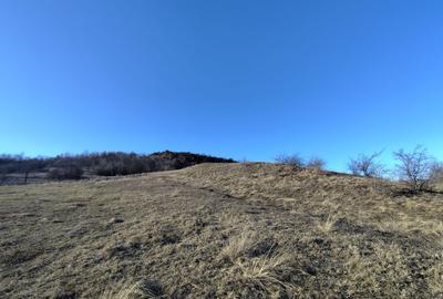 Teren Intravilan 1.534 mp | zona Pârâu lui Mihai - 1