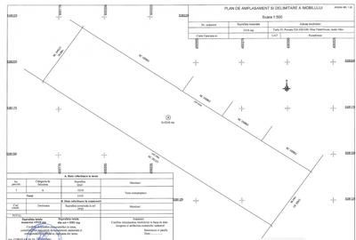 Teren Intravilan 5.303 mp .Dezvoltare Logistică, Industrială sau Rezidentiala A0 - 3
