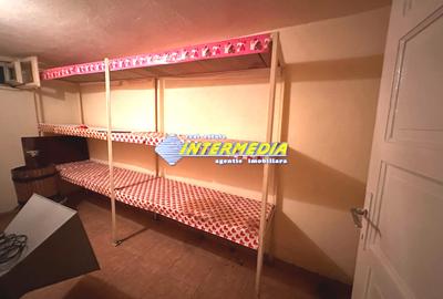 Casa 460 mp constr. D+P+1+M cu 426 mp teren CETATE Alba Iulia Lidl Curte Asfalt - 20