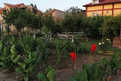 Ansamblu de proprietati in Costinesti - 26