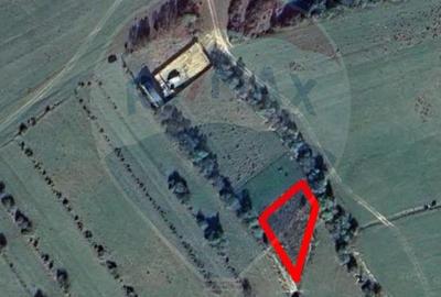 Teren 857mp Zarnesti / Strada F.N - 1