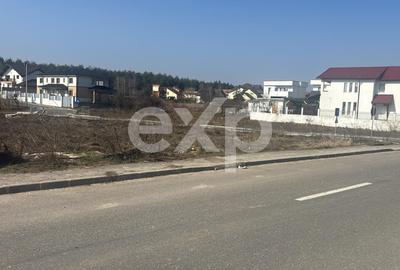 Teren cu autorizatie case in Trivale - Tancodrom - 1