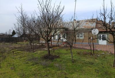 Casă + Teren 4625 mp – Cataloi (10 min de Tulcea) - 1