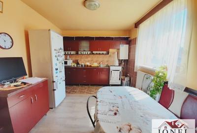 Casa de vanzare in Vintu de Jos - 3