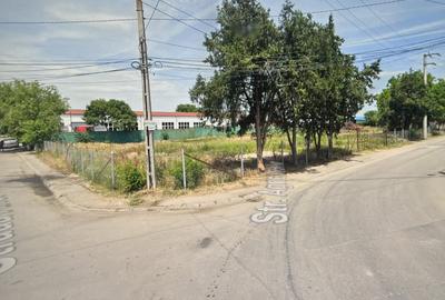 Teren intravilan Mogosoaia - 1