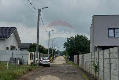 1.134 mp cu front 39,4 ml - Briera Valcii- Intrare din Centura de Nord - 6
