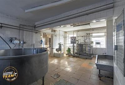 Fabrica de produse lactate+ birouri + 1.300mp teren, Ilieni, Covasna - 3