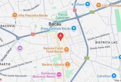 Apartament Ultra-central, 3 camere - 17