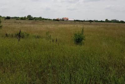 Vand teren - Ronat - 2
