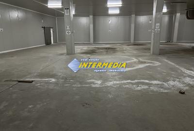 HALA DE INCHIRIAT I 2100 MP I ALBA IULIA I ZONA CENTRU I - 12