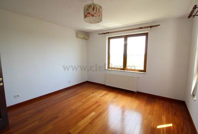 Vila renovata in apropiere de Iancu Nicolae - 11