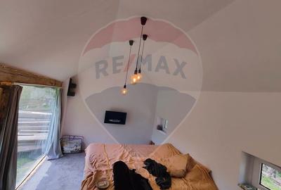 De vânzare teren intravilan 10,100 mp, cu anexă, Munteni - 11